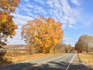 Fall on Fire - New Jersey