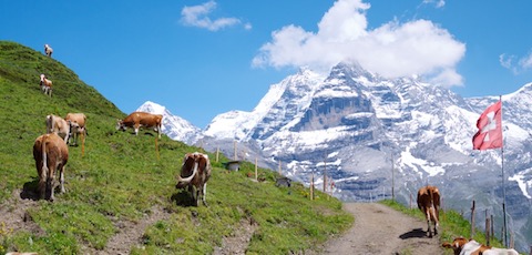Schiltalp - Murren Switzerland