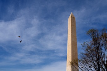 Washington Monument, DC