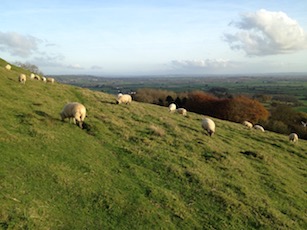 Glastonbury Tor, UK